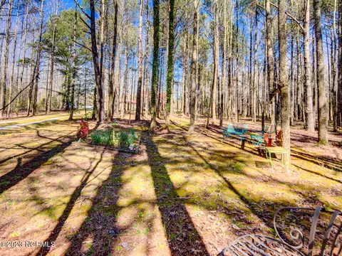 319 Tuggie Eure Rd, Eure, NC 27935 photo 35
