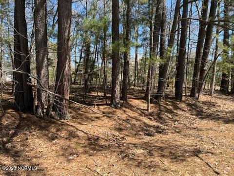 lot11 Birchwood Dr, Nashville, NC 27856
