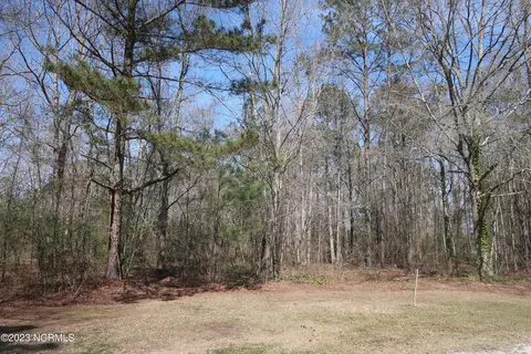 2521 Frederick Rd, Chocowinity, NC 27817 photo 11