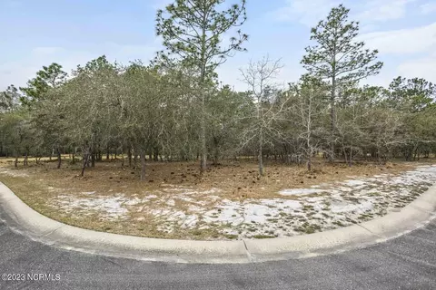 534 Bendigo Psge SE, Bolivia, NC 28422