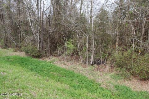 0 Sr 1528 Rd, Pinetown, NC 27865