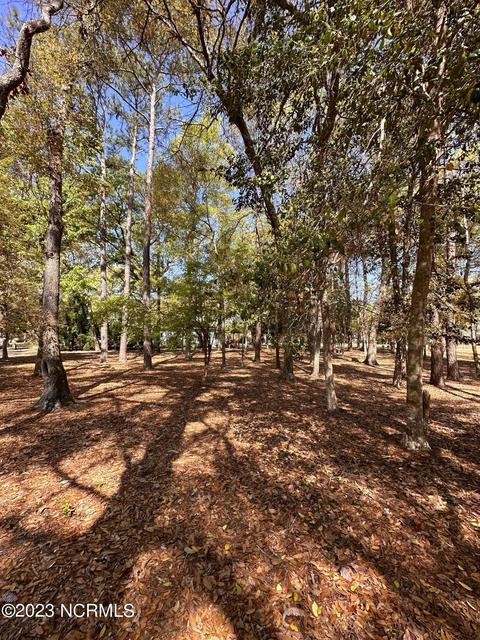 3291 Marsh View Dr, Supply, NC 28462 photo 4