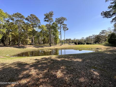 3291 Marsh View Dr, Supply, NC 28462 photo 14