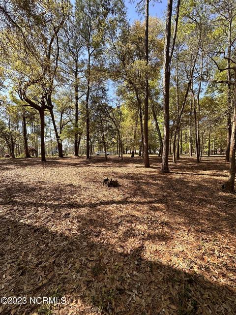 3291 Marsh View Dr, Supply, NC 28462 photo 6