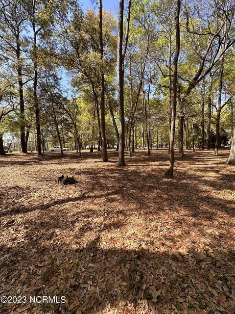 3291 Marsh View Dr, Supply, NC 28462 photo 5