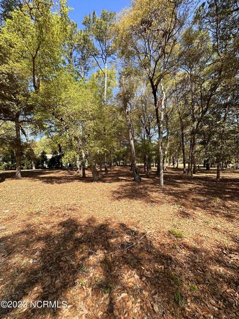 3291 Marsh View Dr, Supply, NC 28462 photo 2