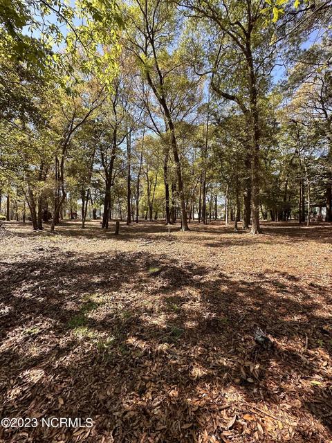 3291 Marsh View Dr, Supply, NC 28462 photo 18