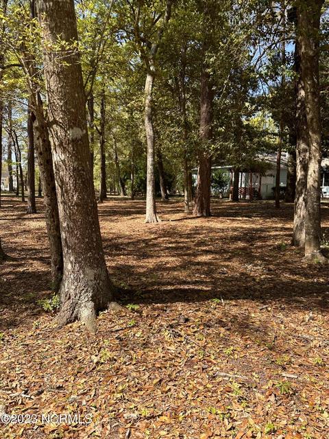 3291 Marsh View Dr, Supply, NC 28462 photo 12