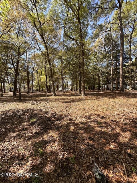 3291 Marsh View Dr, Supply, NC 28462 photo 19