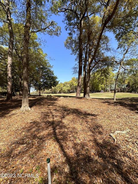 3291 Marsh View Dr, Supply, NC 28462 photo 8