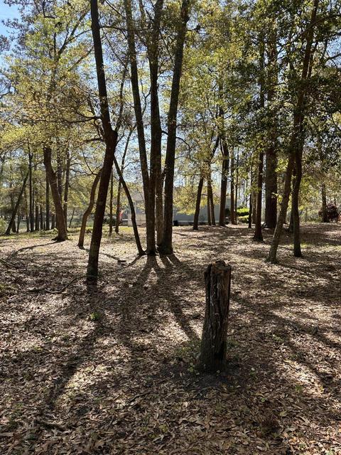 3291 Marsh View Dr, Supply, NC 28462 photo 11