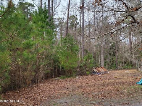 205 Sandridge Rd, Hubert, NC 28539 photo 6