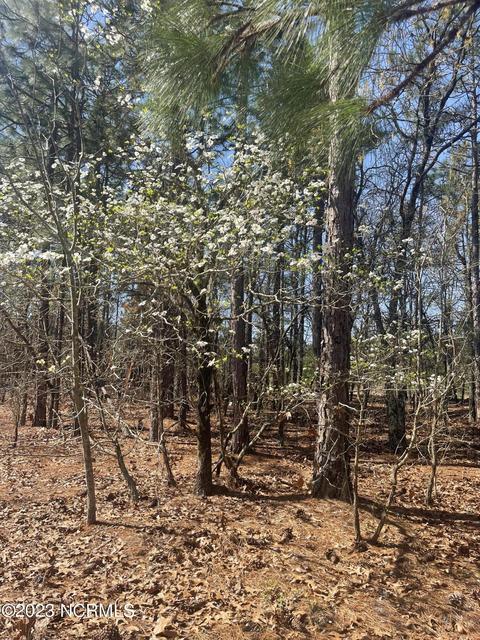 149 Wheeler Ln, Hamlet, NC 28345 photo 25