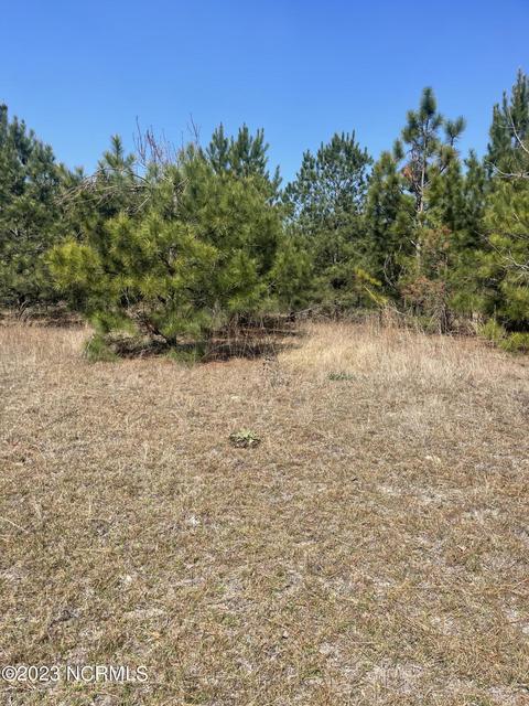 149 Wheeler Ln, Hamlet, NC 28345 photo 22