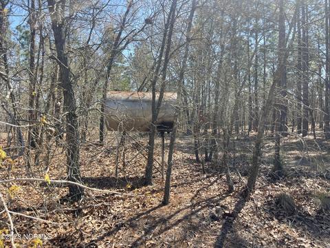 149 Wheeler Ln, Hamlet, NC 28345 photo 20