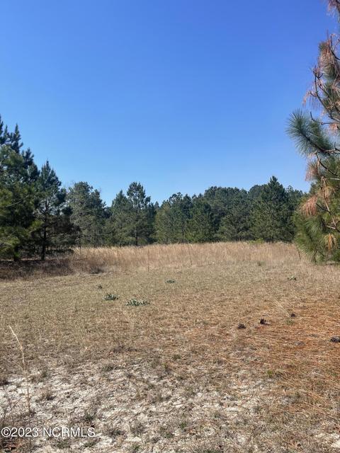149 Wheeler Ln, Hamlet, NC 28345 photo 21