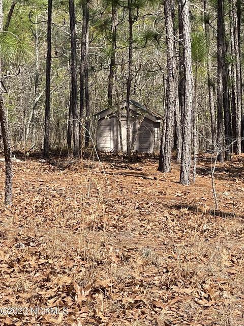 149 Wheeler Ln, Hamlet, NC 28345 photo 26