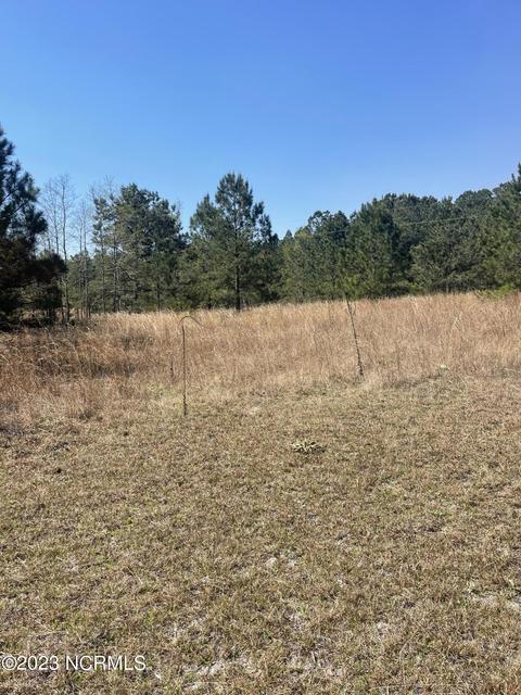 149 Wheeler Ln, Hamlet, NC 28345 photo 23
