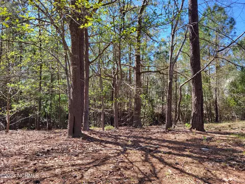 342 River Wynd Wynd, Shallotte, NC 28470