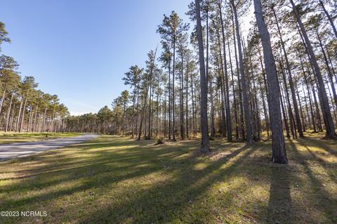 239 Ocracoke Dr, Oriental, NC 28571 photo 3