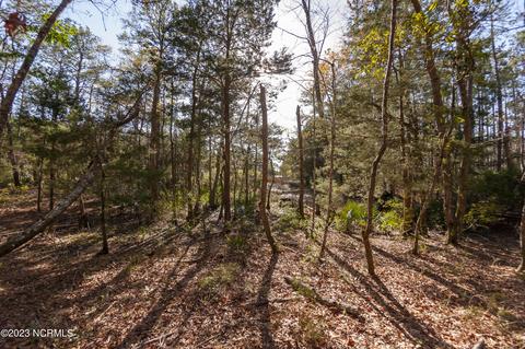 239 Ocracoke Dr, Oriental, NC 28571 photo 10