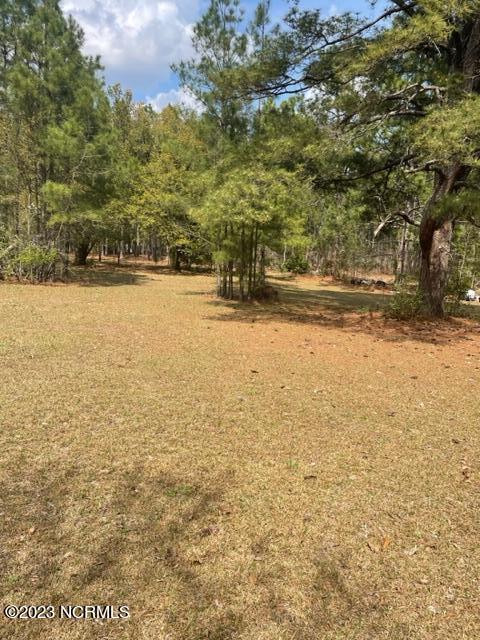 166 Merle Rd, Pinebluff, NC 28373 photo 3