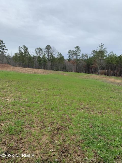 1525 Glendon-carthage Rd, Glendon, NC 27325