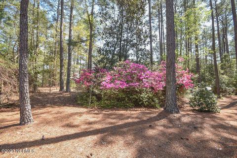 32 Shadow Dr, Whispering Pines, NC 28327 photo 58