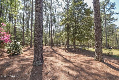 32 Shadow Dr, Whispering Pines, NC 28327 photo 59