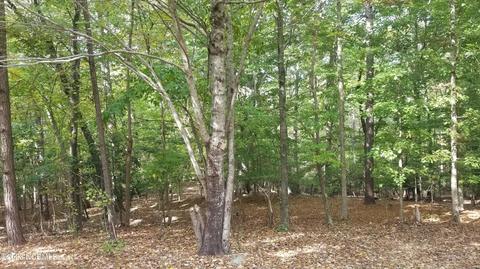 97 Horseshoe Hill Ln, Carthage, NC 28327
