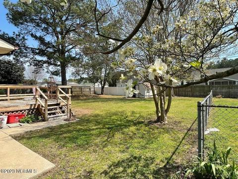 513 Davis Dr, Tarboro, NC 27886 photo 27