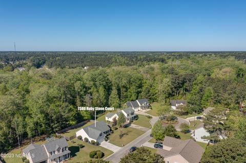 7380 Ruby Stone Ct, Leland, NC 28451 photo 50