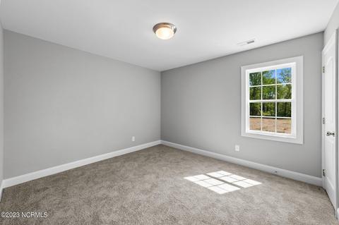 9751 Chapman Rd, Bailey, NC 27807 photo 27