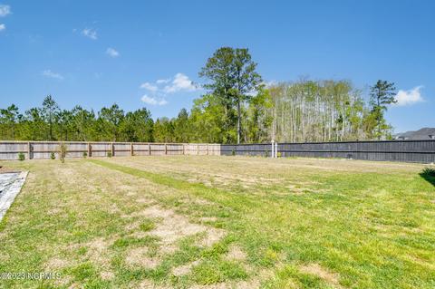 318 Bear Run, Maple Hill, NC 28454 photo 34