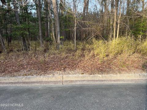 1505 Macon Pl, Tarboro, NC 27886