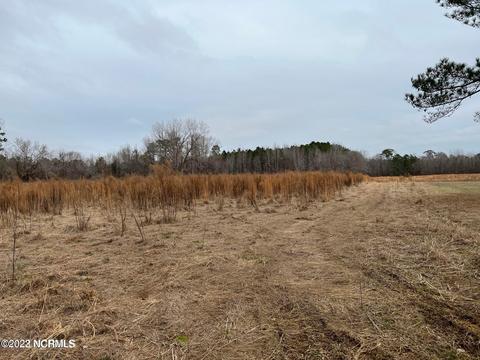 1506 Off State Rd, Washington, NC 27889