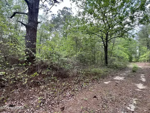tbd Old Maxton Rd, Maxton, NC 28364