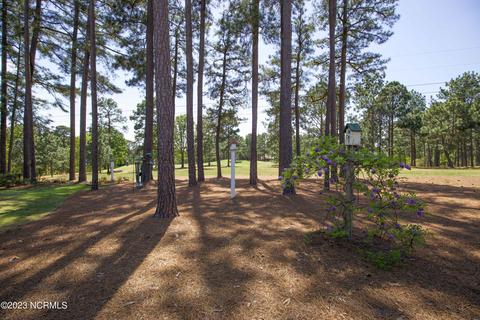 65 Greyabbey Dr, Pinehurst, NC 28374 photo 55