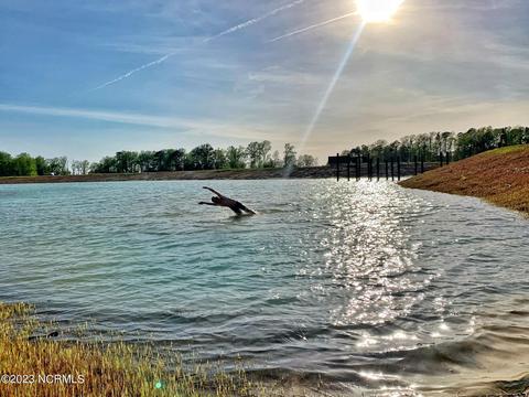 45 Rigging, Minnesott Beach, NC 28510 photo 5