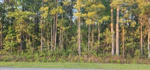6 Ac Colon Mintz Rd NE, Leland, NC 28451