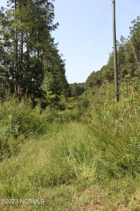 430 County Home Rd, Warrenton, NC 27589