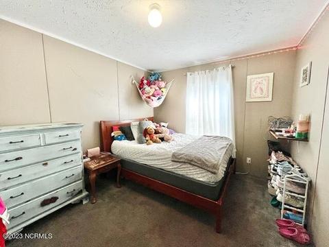 315 County Line Rd, Tyner, NC 27980 photo 24