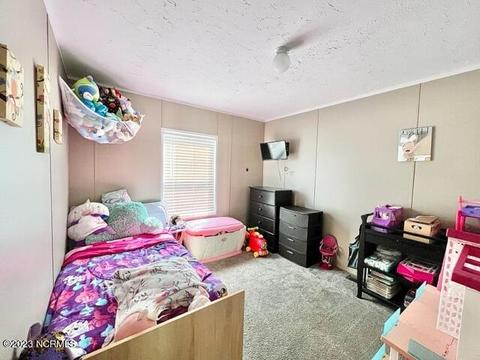 315 County Line Rd, Tyner, NC 27980 photo 25