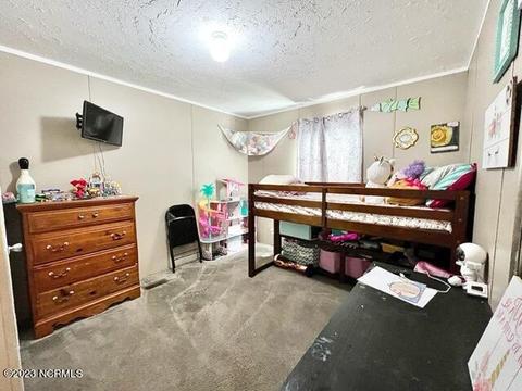 315 County Line Rd, Tyner, NC 27980 photo 23