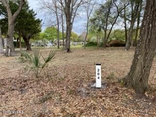 206 Gazebo Ct, Wilmington, NC 28409