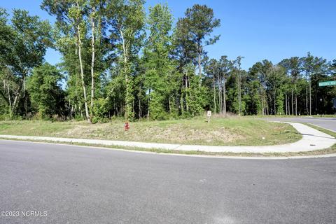 1743 Herons View Lot 20 Dr, Wilmington, NC 28401