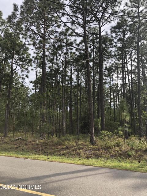 lot5 Beaufort Rd, Boiling Spring Lakes, NC 28461