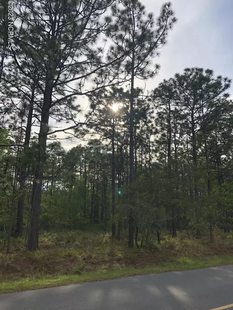 lot3 Beaufort Rd, Boiling Spring Lakes, NC 28461