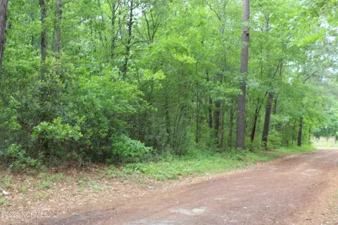 0 Walter Dr, Bladenboro, NC 28320