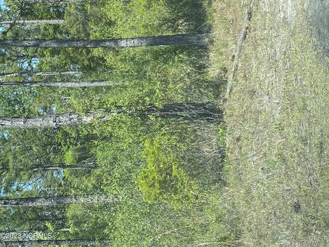 L-724, Boiling Spring Lakes, NC 28461